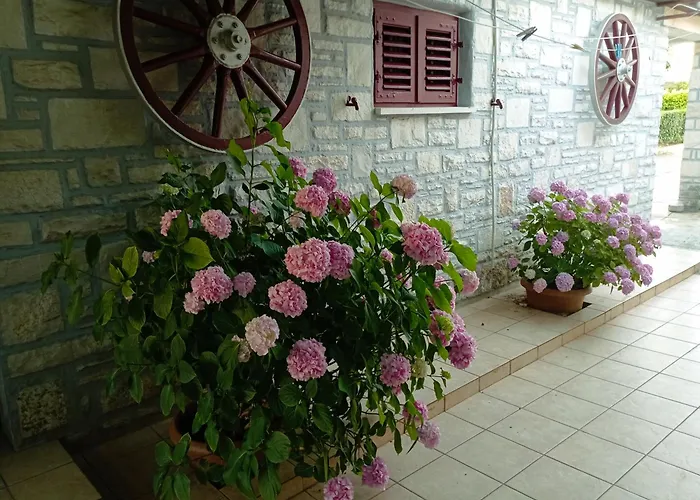 Apartman Sunce